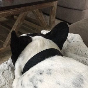 Meet your Posher, Monique